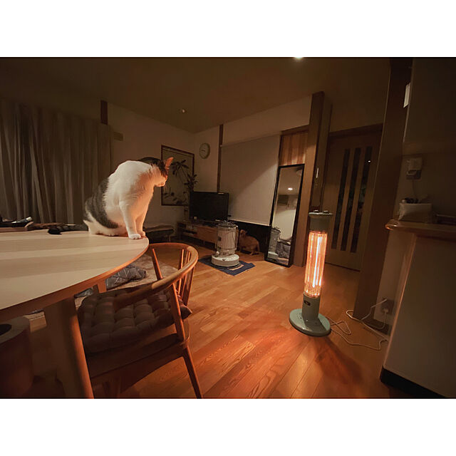 ttoの日本エー・アイ・シー-アラジン(Aladdin) 電気ストーブ 遠赤グラファイトヒーター グリーン CAH-1G9B-Gの家具・インテリア写真
