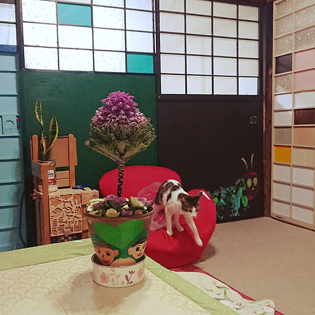 kikuの-アンティーク色 ミニ葉牡丹 バラマキ リトルボンボン 8cm硬質ポット 多粒まき[冬苗予約]の家具・インテリア写真
