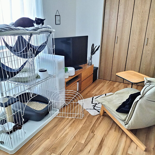 hihaのニトリ-レースカーテン(サブレ 100X176X2) の家具・インテリア写真