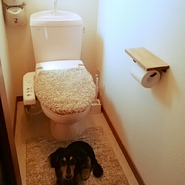 reonのニトリ-洗浄・暖房用 洋式トイレ2点セット(コンフィ) の家具・インテリア写真