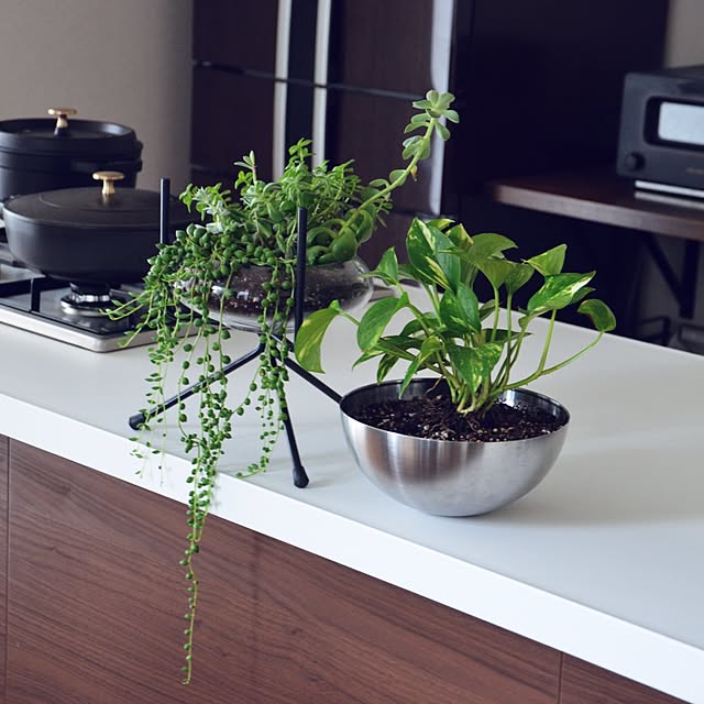 写真付きレビュー ポットスタンドフォーク25l フラワースタンド 鉢台 鉢スタンド おしゃれ アイアン 植木鉢スタンド の通販商品 口コミ情報 Roomclipショッピング