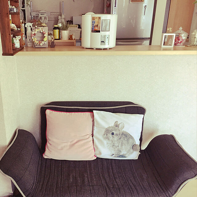 tomomiのニトリ-カジュアルソファ(ロビン) の家具・インテリア写真