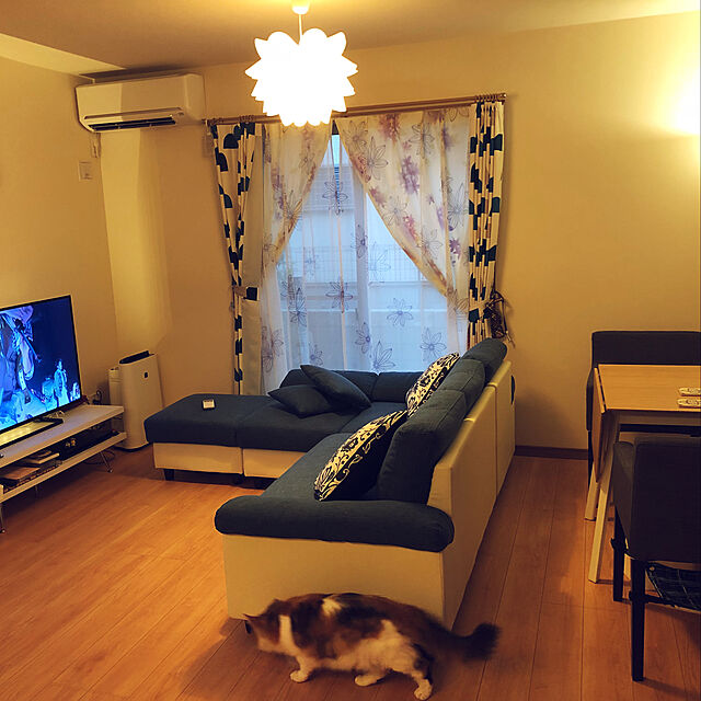 aninoのニトリ-既製カーテン(フィット レッドパープル 100X200X2) の家具・インテリア写真