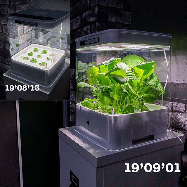 kaerucoのユーイング-ユーイング 水耕栽培機GreenFarmCube UH-CB01G1 ホワイトの家具・インテリア写真