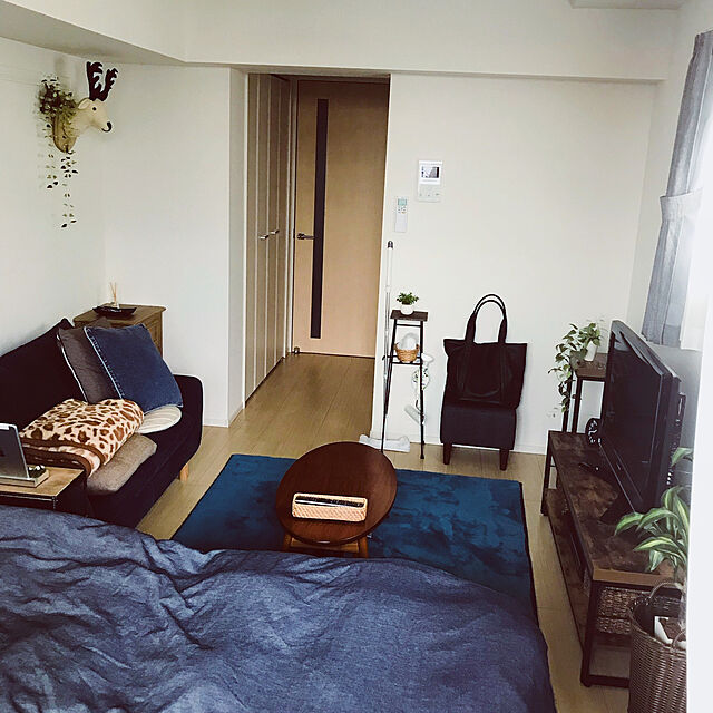 busuのニトリ-遮光2級カーテン(レーナ グレー 100X110X2) の家具・インテリア写真