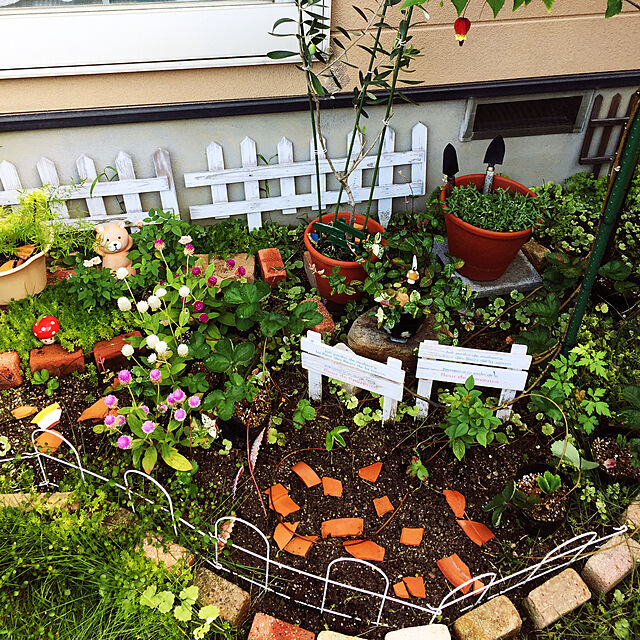 takakoの-ミニバラ （NHK趣味の園芸ーよくわかる栽培12か月） [ 河合伸志 ]の家具・インテリア写真