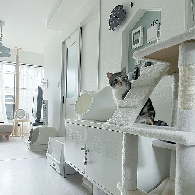 mouseのオーエフティー-【OFT】 ねころん しろ 猫顔モチーフ ドーム型ベッド ファーマット付き ホワイト 猫の家具・インテリア写真