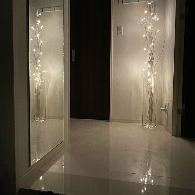 amu.comのイケア-LEDFYR レードフィール LEDライトチェーン 全24球の家具・インテリア写真