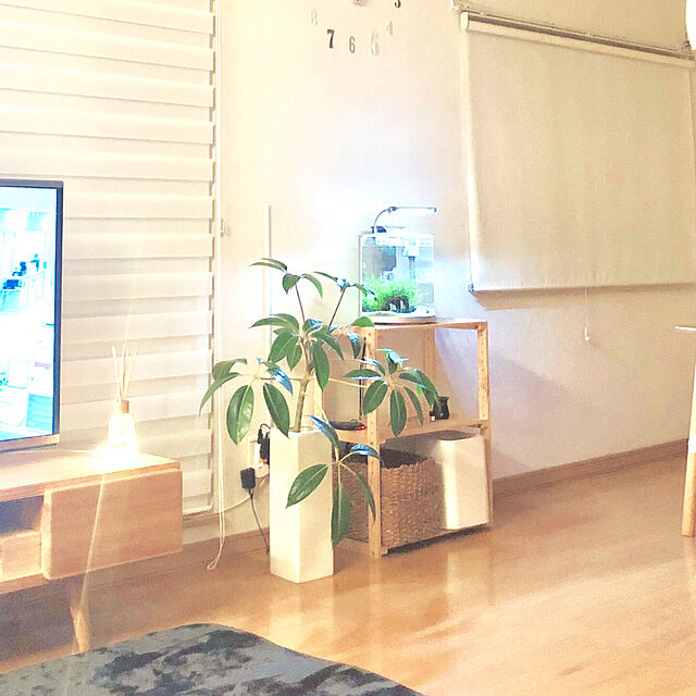 Yumiの-SHIPPOCA(シッポウカ) 天然精油100％使用 リードディフューザー ルームフレグランス 280ml　モーニングオーチャード・6236【人気 おすすめ 】の家具・インテリア写真