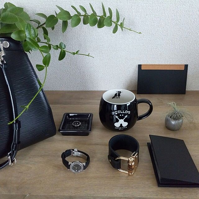 RororiのコクヨMVP-TOTONOE/Card Holder 60ポケット ブラックの家具・インテリア写真