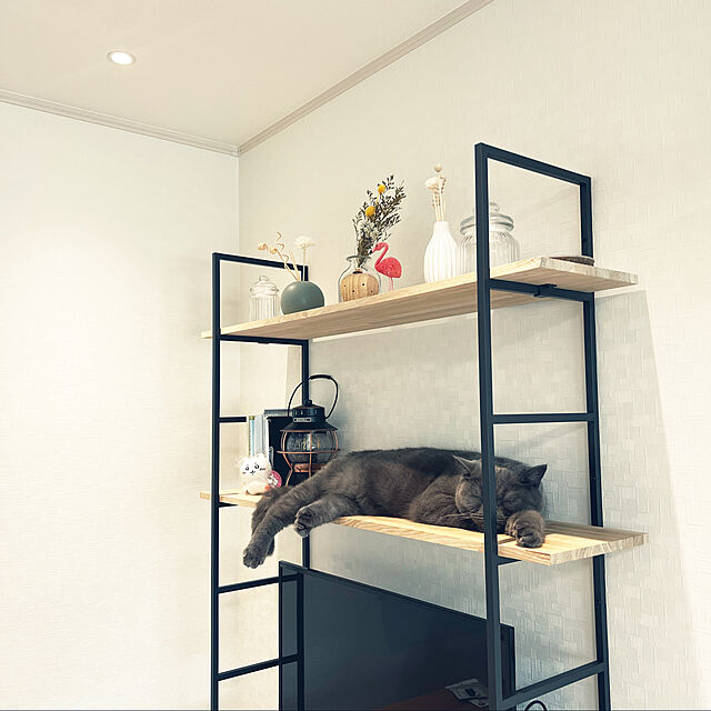 kaoのWOODONE-カベツケ 1入り H1,262 ホワイト ブラック　【ウッドワン】の家具・インテリア写真