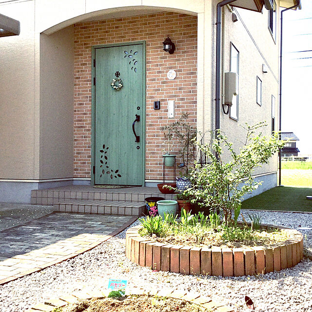 chiiyanの-木香バラ （ 黄色 八重咲 ） 9cmポット苗の家具・インテリア写真