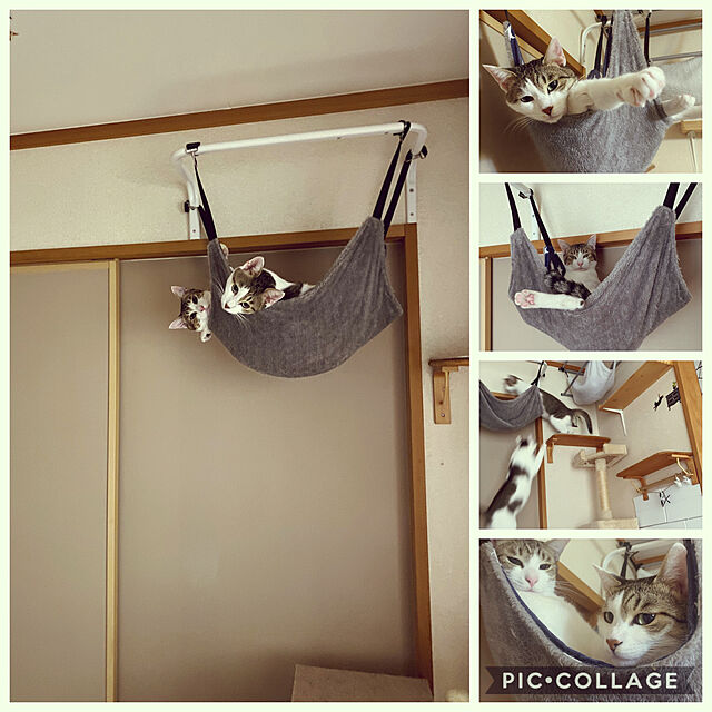 LufuのOGORI-猫 ハンモック ベッド キャットハンモック ペット用 猫用品 ヒモ調整可能 洗える 冬夏両用 大きい レッド OGORIの家具・インテリア写真