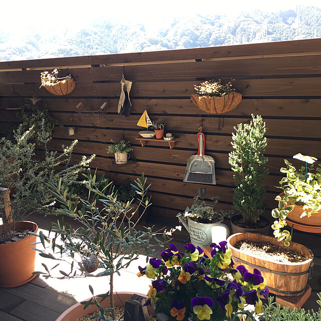 meruの-【 ガーデン用品 】　カラフルジョーロ　カラーウォータリングカン　1.5L　じょーろ　敬老の日　ポイント消化　観葉植物の家具・インテリア写真
