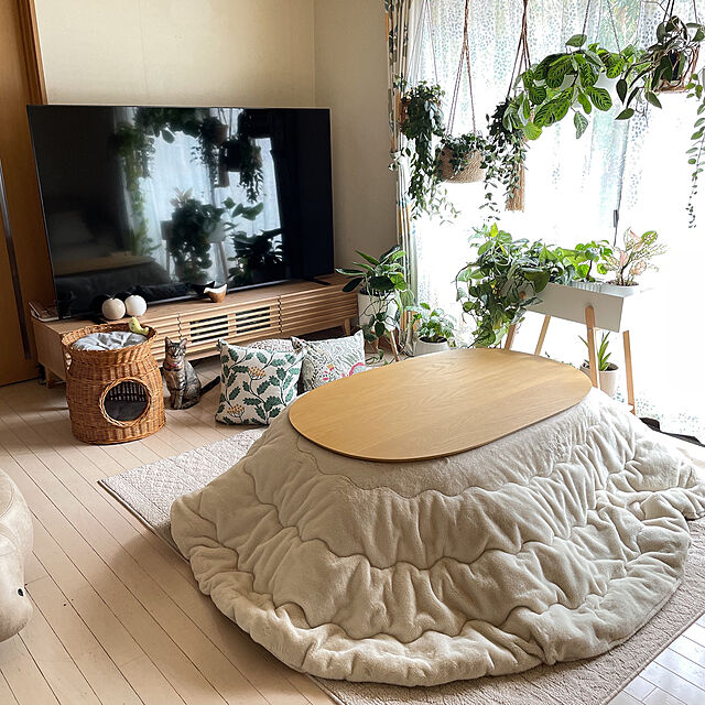 natsuのイケヒコ・コーポレーション-[Ikehiko Corporation] こたつ掛けふとん 4550317203527 ミルキーベージュ 約185×225cm楕円形の家具・インテリア写真