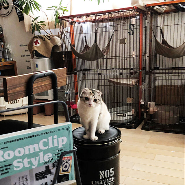 yokkochanのボンビアルコン-キャットケージ 2段 ペットゲージ 猫グッズ ウッドワンサークルキャット2段タイプ 送料無料の家具・インテリア写真