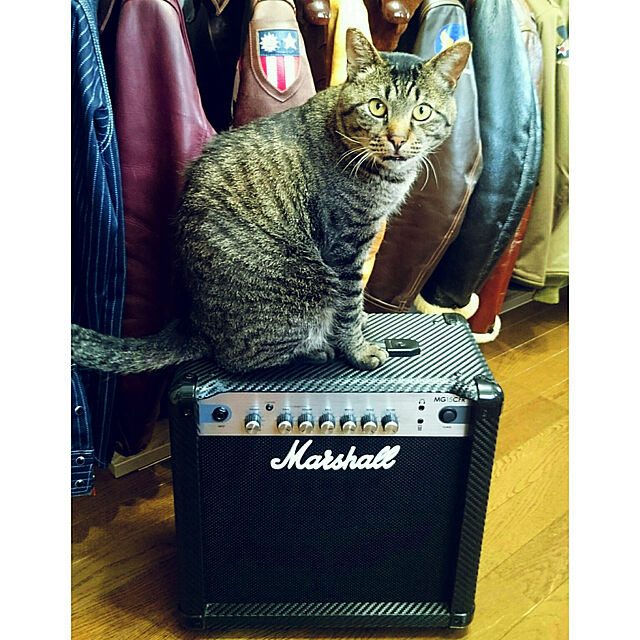 ken.kawakamiの-Marshall マーシャル MG15CFR ギターコンボアンプ【横浜店】の家具・インテリア写真