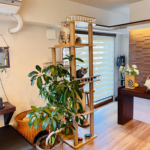 akimamの-ウッドデッキ パネル  40枚セット 天然 木製 アカシア ジョイント ウッドタイル　重ねるだけで設置できる　プロテックの家具・インテリア写真