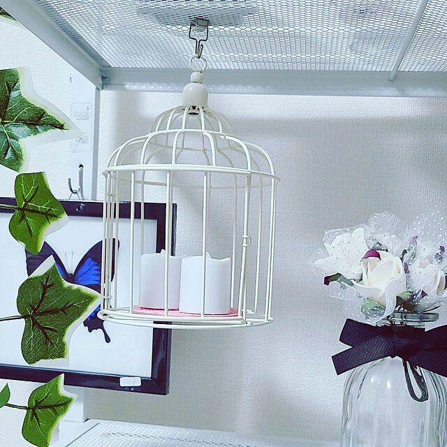 Pandoraの-【あす楽】【宅配便送料無料】昆虫の標本　オオルリアゲハ　Papilio Ulysses　【Emperor Blue Swallowtail】の家具・インテリア写真