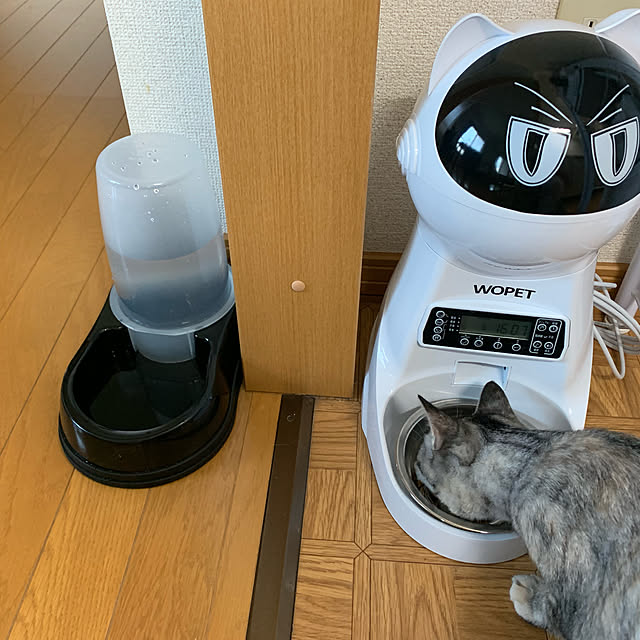 erichinのWopet-WOpet タイマー式自動給餌器 automatic feeder2WAYタイプ電源電池対応 最大１５日間連続自動給餌 大容３.５ L 一日４回食設定録音可給餌の家具・インテリア写真