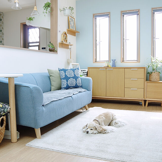 Shooowkoの-長く使える丈夫な防ダニラグ[日本製]の家具・インテリア写真
