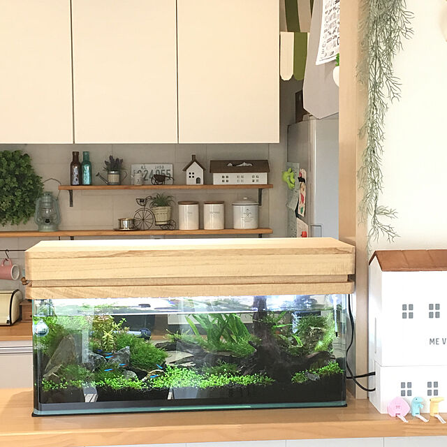 PEKO3_3の寿工芸-コトブキ工芸　水槽セット　レグラスＦ−６００ＳＨ/ＢＳ−ＬＥＤライトセット　お一人様１点限りの家具・インテリア写真