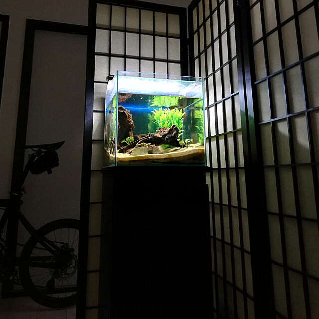 Takashiの寿工芸-コトブキ プロスタイル ３００/３５０ ＳＱ ブラック 水槽台 キャビネットの家具・インテリア写真