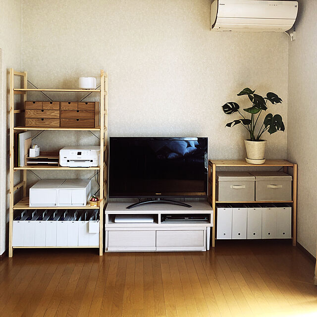 ichigoameの無印良品-【ネット限定】モンステラ 白丸鉢入りの家具・インテリア写真