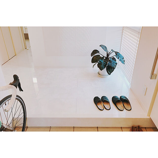 _aoo.homeの-sarasa design サラサデザイン Maestro room shoes for lady 女性用ルームシューズ Leather メール便不可 スリッパ レザー スエード レディースの家具・インテリア写真