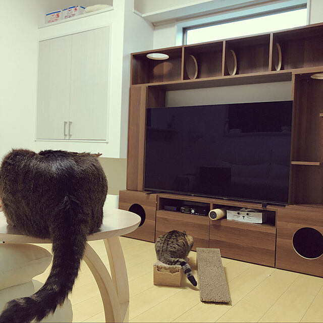Tomcatの-ユニチャーム ペットケア デオトイレ 快適ワイド 本体セット (1セット) 猫用システムトイレの家具・インテリア写真