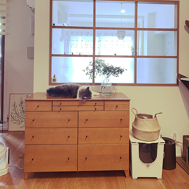 yukarinの-猫用トイレ modko モデコ フリップ リターボックス 本体 フルカバー スコップ付き おしゃれ ネコトイレ ホワイト 白の家具・インテリア写真