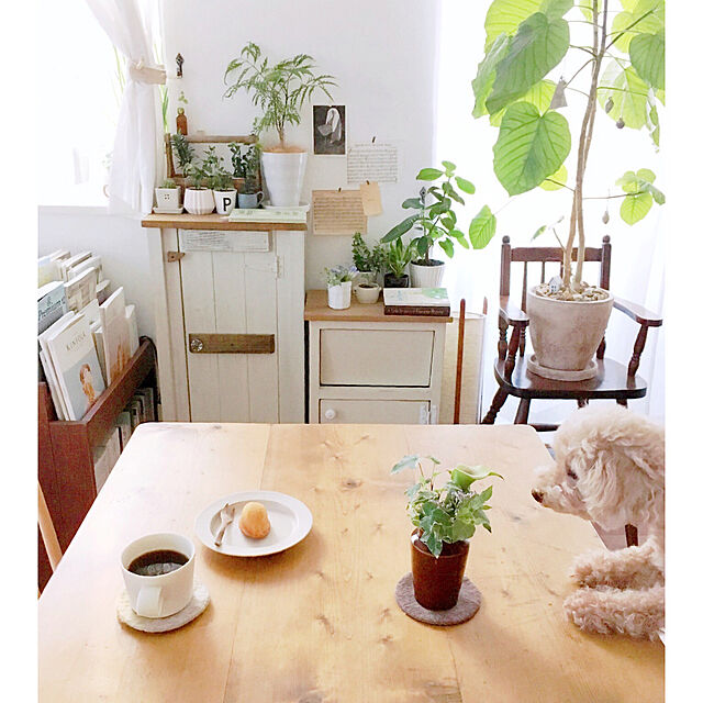 azuの-yumiko iihoshi porcelain（イイホシユミコ）unjour apres-midi plateの家具・インテリア写真