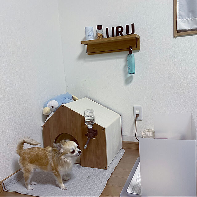 umiのニトリ-ペットベッド Ｍ(Nウォーム i-nコーズマルM) の家具・インテリア写真