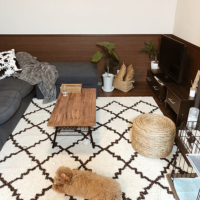 Yukinaのニトリ-布張りソファベッド(フォワード GY) の家具・インテリア写真
