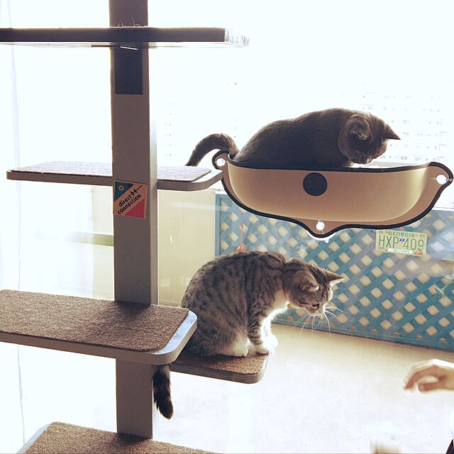 ShojiのK&H PET PRODUCTS-K&H イージーマウント ウィンドウベッド タンの家具・インテリア写真