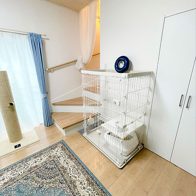 yuzukoのサンスター技研株式会社-QAIS -air- 03 ラテュロスブルーの家具・インテリア写真