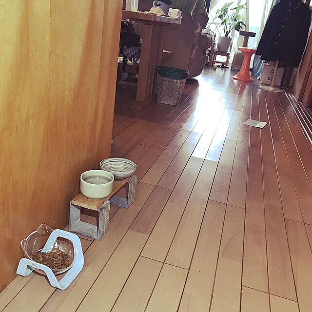 kou-kitiの-【△】/ペットボウル単品の家具・インテリア写真