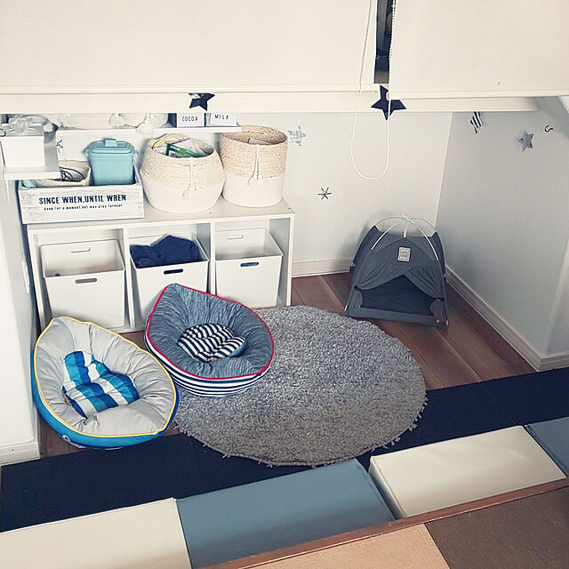 Nashuryueのニトリ-犬・猫用ペットベッド L(Nクール q-o ヨット L) の家具・インテリア写真