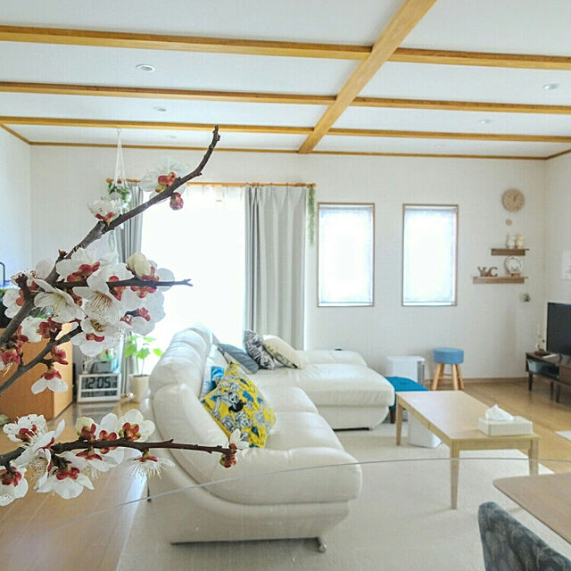 maruchiの-ムーミン クッションカバー 45×45 クッションの家具・インテリア写真