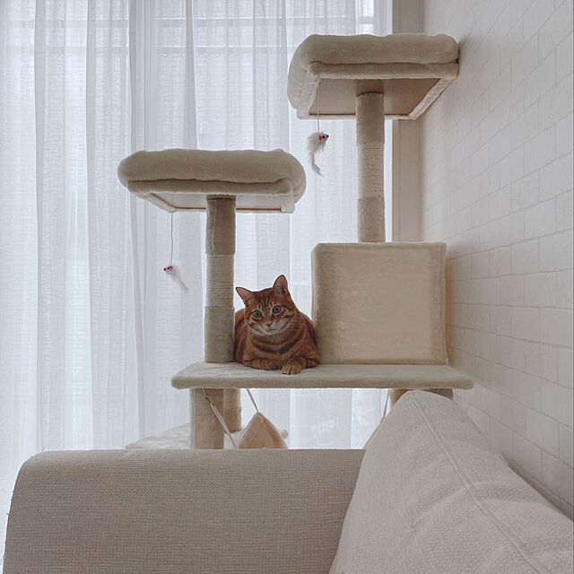 mokocoの-キャットタワー 猫タワー 隠れ家 突っ張り 据え置き 爪とぎ 猫パンチ おもちゃ付き ハンモック付き 多頭 大型猫 省スペース 猫用品 猫 全高145mの家具・インテリア写真