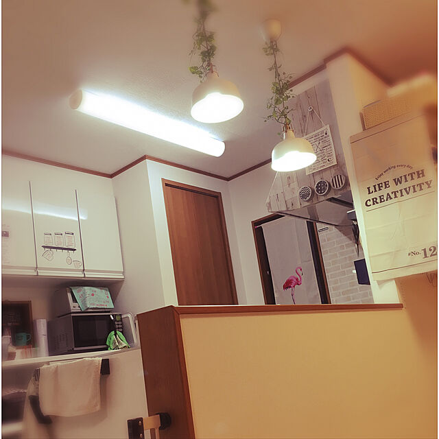 Yukiの-ドウシシャ 大人の氷かき器 コードレス otona パールホワイト CDIS17PWH [CDIS17PWH]の家具・インテリア写真