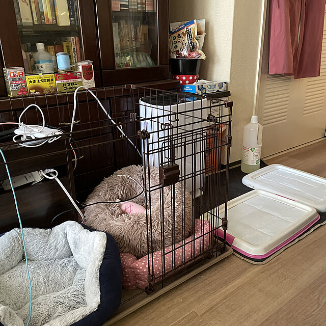 missmoon12のOYANTEN-猫 犬 ベッド クッション グッズ - ラウンド型 もふもふ 丸型 OYANTEN ドーナツふわふわ もこもこ ぐっすり眠る 洗える キャット 通年 猫 小型犬用 ペット用品 (50cm, ベージュ)の家具・インテリア写真