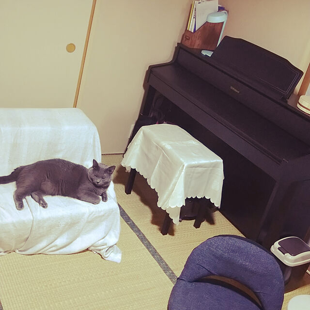 h-a-ri.mamaのニトリ-ソファになるマットレス シングル(レヴィン2 S) の家具・インテリア写真