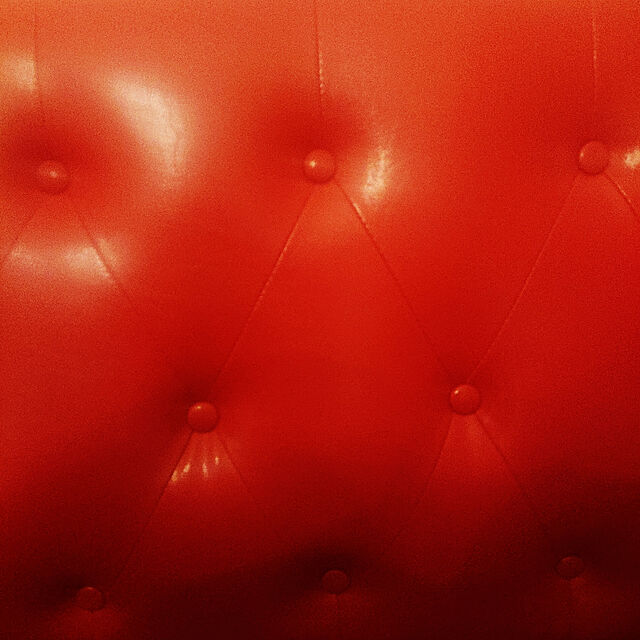 Qoichの-【納期目安：05/中旬入荷予定】大川リビング SO-09-RED 2Pソファ (SO09RED)の家具・インテリア写真
