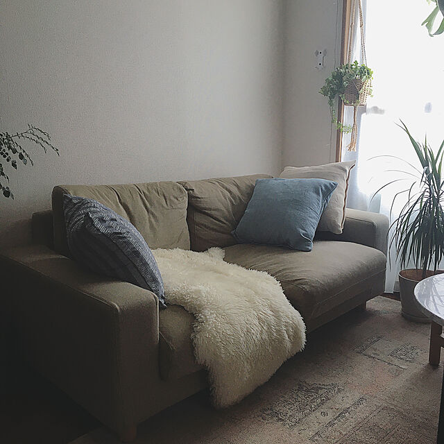 YNの無印良品-綿サッカー織クッションカバー／オフ白 ネイビーの家具・インテリア写真