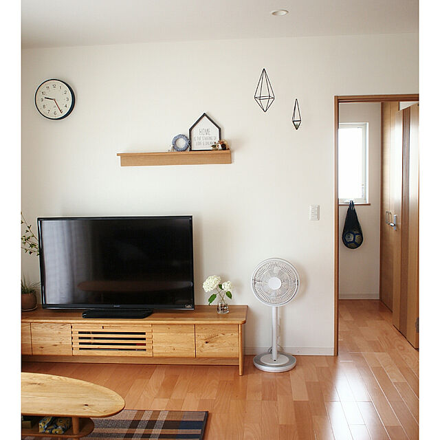 yunohaの-アジサイ 『 アナベル 』 白　10.5cmポット苗の家具・インテリア写真