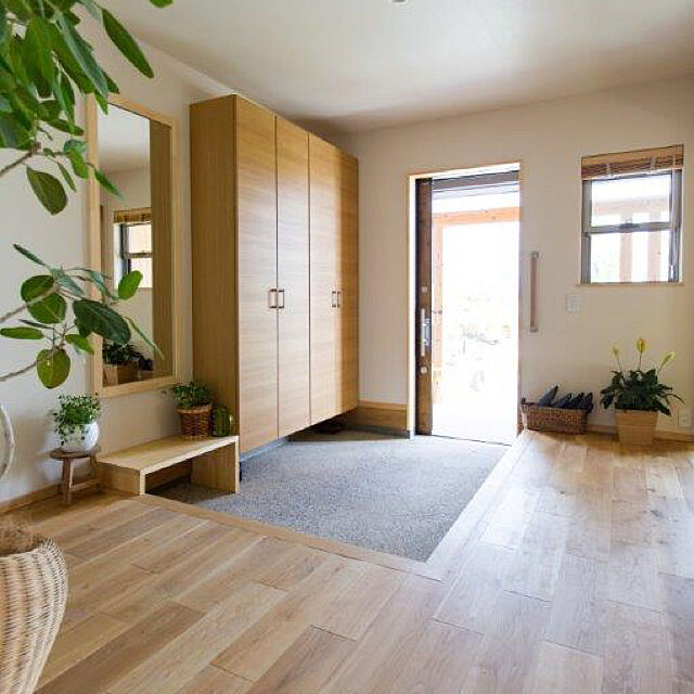kunkunの無印良品-アクアポット フィカス・バッキニオイデス ４号の家具・インテリア写真