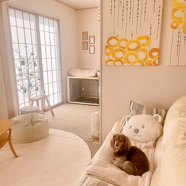 rinoのニトリ-手が入るクッション(NウォームWSP SK01s-c) の家具・インテリア写真