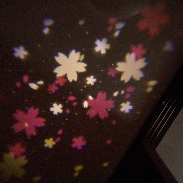 mockossの-salut!(サリュ) ライフスタイル 【桜のあるお部屋】LED花びらライト その他の家具・インテリア写真
