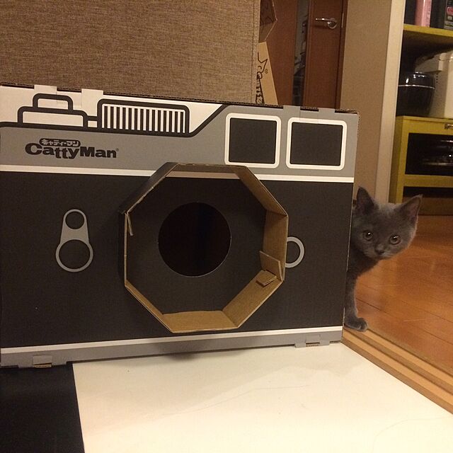 Shojiのドギーマン-キャティーマン (CattyMan) 爪みがきにゃんボックス カメラの家具・インテリア写真